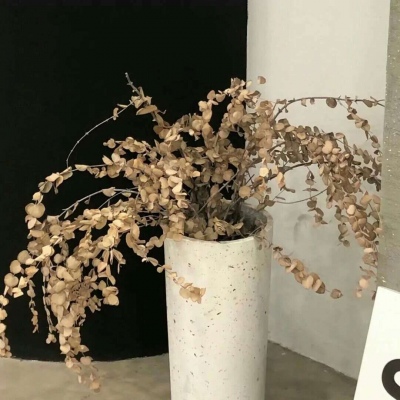 类乌齐福瑞交流群